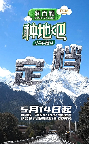 大哥小助理